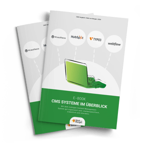 Mockup-Cover E-Book-CMS