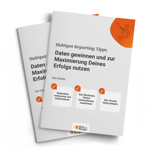 Mockup-Cover E-Book-HubSpot-Daten-gewinnen