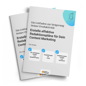 Mockup-Cover E-Book-Redaktionsplan