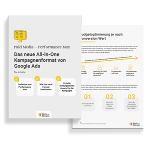 Paid-Media-Performance-Max-Kampagne