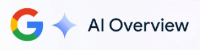 Google AI Overview